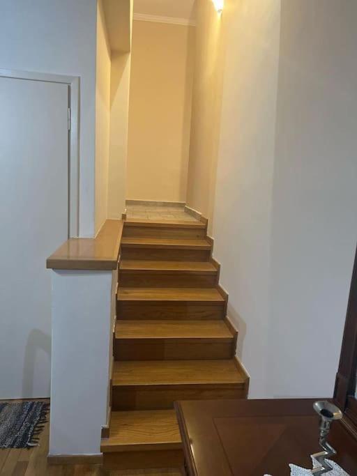Το Σπίτι Του Μύλου Των Ξωτικών Villa Trikala  Bagian luar foto