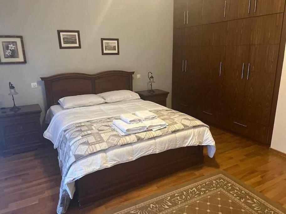 Το Σπίτι Του Μύλου Των Ξωτικών Villa Trikala  Bagian luar foto